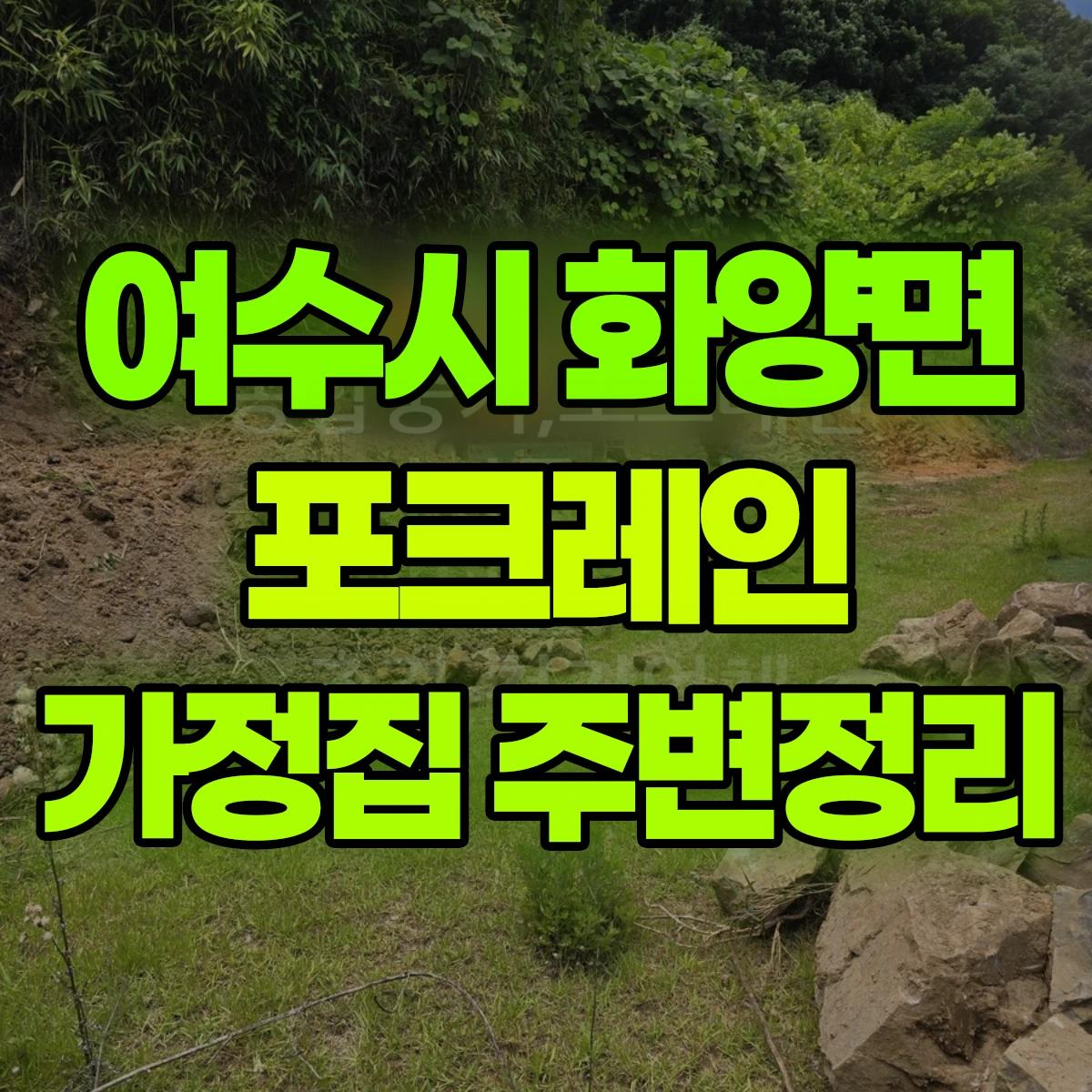 여수시 화양면 포크레인 가정집 주변정리 비용